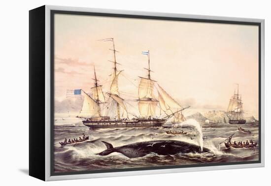 Whaling Off the Cape of Good Hope-Louis Lebreton-Framed Premier Image Canvas