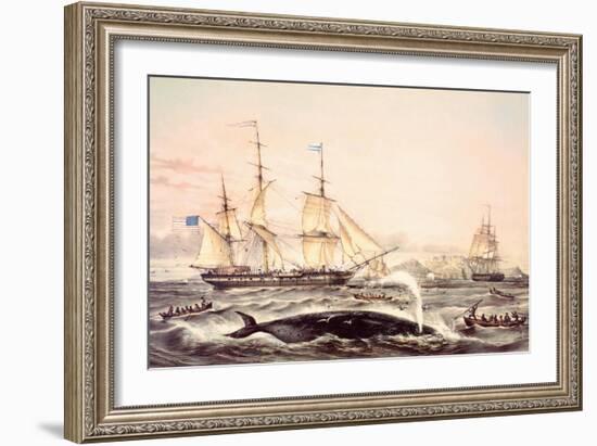 Whaling Off the Cape of Good Hope-Louis Lebreton-Framed Giclee Print