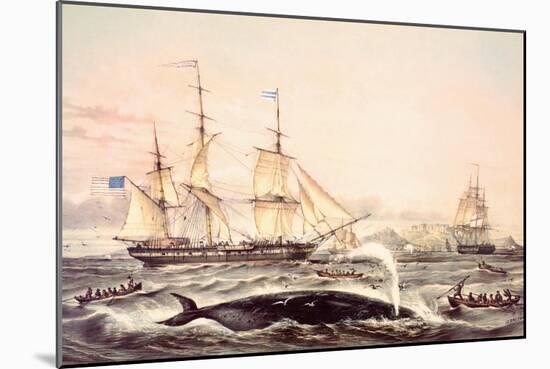 Whaling Off the Cape of Good Hope-Louis Lebreton-Mounted Giclee Print