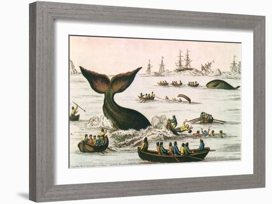 Whaling Scene, 1750-null-Framed Giclee Print