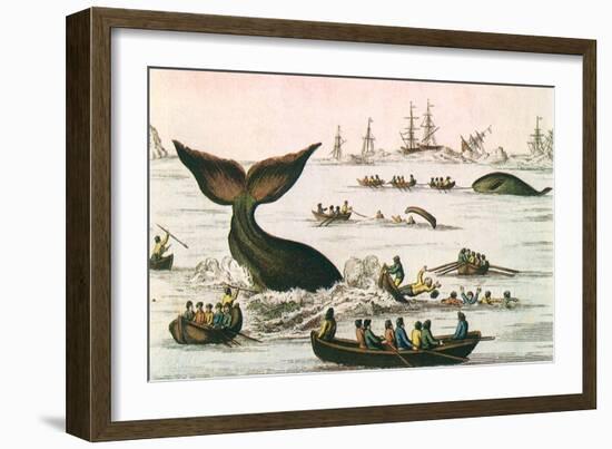 Whaling Scene, 1750-null-Framed Giclee Print