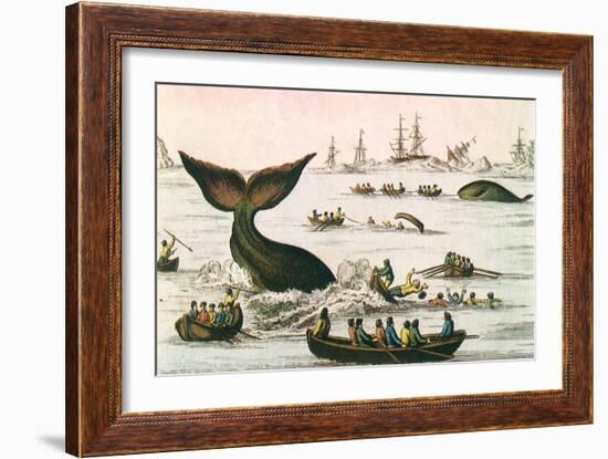 Whaling Scene, 1750-null-Framed Giclee Print