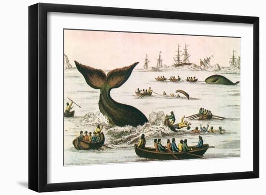 Whaling Scene, 1750-null-Framed Giclee Print