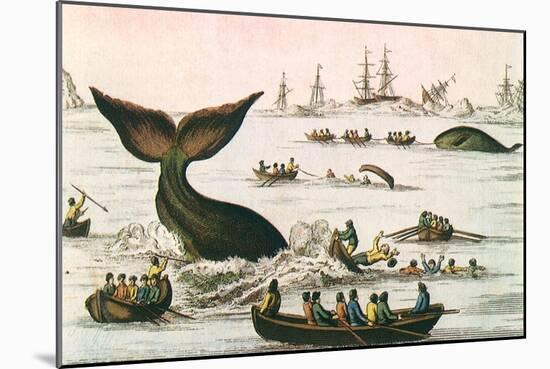 Whaling Scene, 1750-null-Mounted Giclee Print