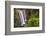 Whangarei Falls, a Popular Waterfall in the Northlands Region of North Island, New Zealand, Pacific-Matthew Williams-Ellis-Framed Photographic Print