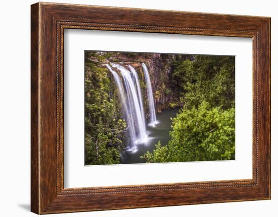 Whangarei Falls, a Popular Waterfall in the Northlands Region of North Island, New Zealand, Pacific-Matthew Williams-Ellis-Framed Photographic Print