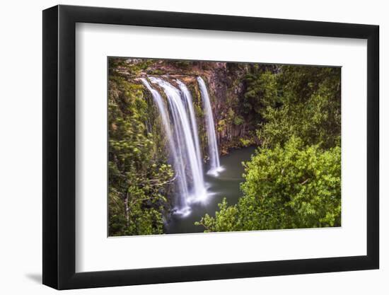 Whangarei Falls, a Popular Waterfall in the Northlands Region of North Island, New Zealand, Pacific-Matthew Williams-Ellis-Framed Photographic Print