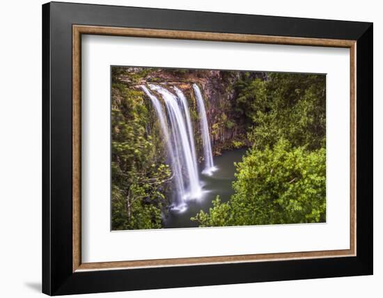 Whangarei Falls, a Popular Waterfall in the Northlands Region of North Island, New Zealand, Pacific-Matthew Williams-Ellis-Framed Photographic Print