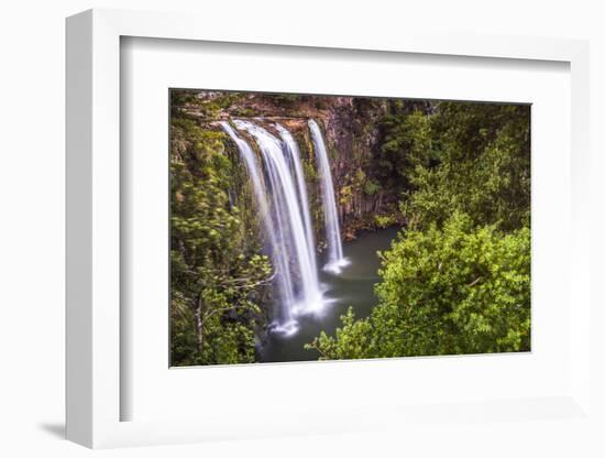 Whangarei Falls, a Popular Waterfall in the Northlands Region of North Island, New Zealand, Pacific-Matthew Williams-Ellis-Framed Photographic Print