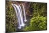 Whangarei Falls, a Popular Waterfall in the Northlands Region of North Island, New Zealand, Pacific-Matthew Williams-Ellis-Mounted Photographic Print