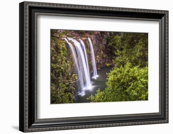 Whangarei Falls, a Popular Waterfall in the Northlands Region of North Island, New Zealand, Pacific-Matthew Williams-Ellis-Framed Photographic Print