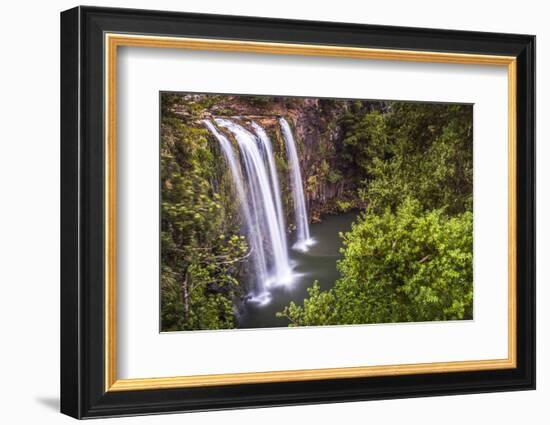 Whangarei Falls, a Popular Waterfall in the Northlands Region of North Island, New Zealand, Pacific-Matthew Williams-Ellis-Framed Photographic Print