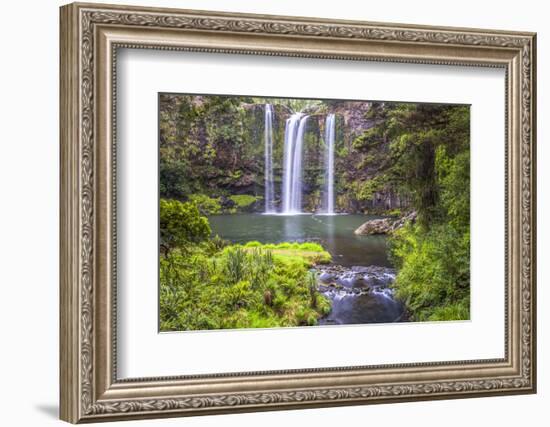 Whangarei Falls, a Popular Waterfall in the Northlands Region of North Island, New Zealand, Pacific-Matthew Williams-Ellis-Framed Photographic Print