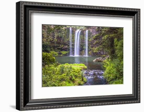 Whangarei Falls, a Popular Waterfall in the Northlands Region of North Island, New Zealand, Pacific-Matthew Williams-Ellis-Framed Photographic Print