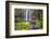 Whangarei Falls, a Popular Waterfall in the Northlands Region of North Island, New Zealand, Pacific-Matthew Williams-Ellis-Framed Photographic Print