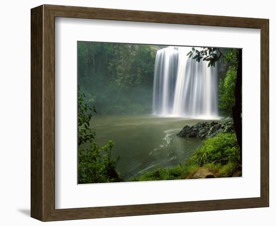 Whangarei Falls, Whangarei, Northland, New Zealand-David Wall-Framed Photographic Print