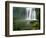 Whangarei Falls, Whangarei, Northland, New Zealand-David Wall-Framed Photographic Print