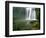 Whangarei Falls, Whangarei, Northland, New Zealand-David Wall-Framed Photographic Print