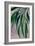 Whani leaves-Rosana Laiz Garcia-Framed Giclee Print