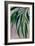 Whani leaves-Rosana Laiz Garcia-Framed Giclee Print