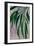 Whani leaves-Rosana Laiz Garcia-Framed Giclee Print