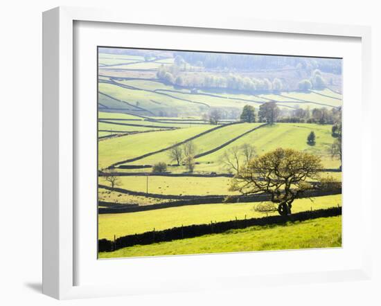 Wharfedale Near Appletreewick, Yorkshire Dales, Yorkshire, England, United Kingdom, Europe-Mark Sunderland-Framed Photographic Print