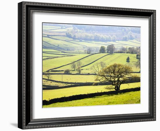 Wharfedale Near Appletreewick, Yorkshire Dales, Yorkshire, England, United Kingdom, Europe-Mark Sunderland-Framed Photographic Print