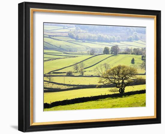 Wharfedale Near Appletreewick, Yorkshire Dales, Yorkshire, England, United Kingdom, Europe-Mark Sunderland-Framed Photographic Print