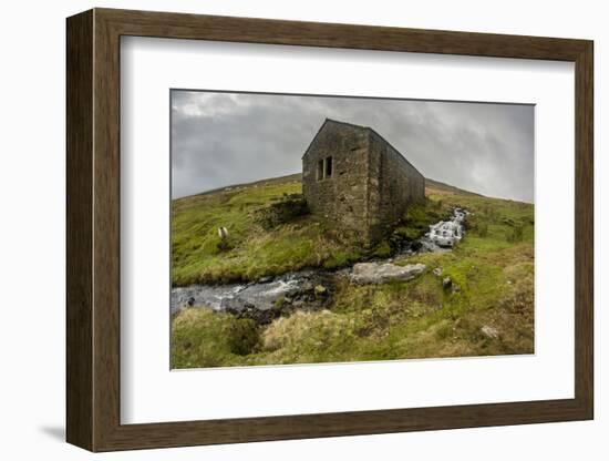 Wharfedale, Yorkshire Dales, Yorkshire, England, United Kingdom, Europe-Bill Ward-Framed Photographic Print