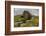 Wharfedale, Yorkshire Dales, Yorkshire, England, United Kingdom, Europe-Bill Ward-Framed Photographic Print