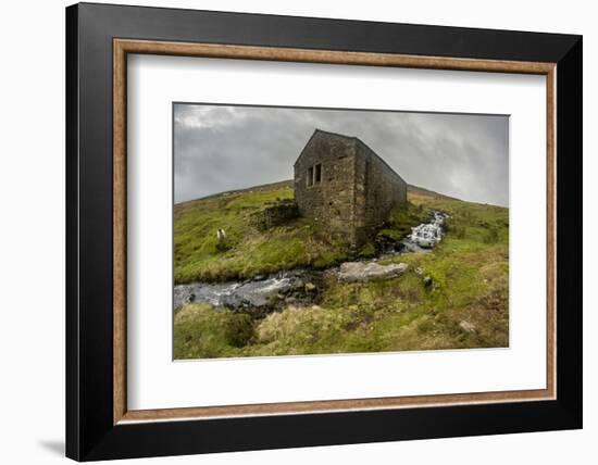 Wharfedale, Yorkshire Dales, Yorkshire, England, United Kingdom, Europe-Bill Ward-Framed Photographic Print