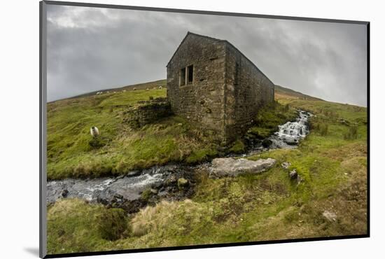 Wharfedale, Yorkshire Dales, Yorkshire, England, United Kingdom, Europe-Bill Ward-Mounted Photographic Print