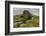 Wharfedale, Yorkshire Dales, Yorkshire, England, United Kingdom, Europe-Bill Ward-Framed Photographic Print