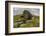 Wharfedale, Yorkshire Dales, Yorkshire, England, United Kingdom, Europe-Bill Ward-Framed Photographic Print