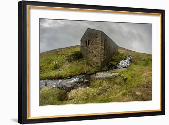 Wharfedale, Yorkshire Dales, Yorkshire, England, United Kingdom, Europe-Bill Ward-Framed Photographic Print