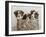 What a Cute Bundle-Jim Dratfield-Framed Photo