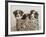 What a Cute Bundle-Jim Dratfield-Framed Photo