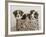 What a Cute Bundle-Jim Dratfield-Framed Photo