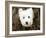 What a Cutie-Jim Dratfield-Framed Photo