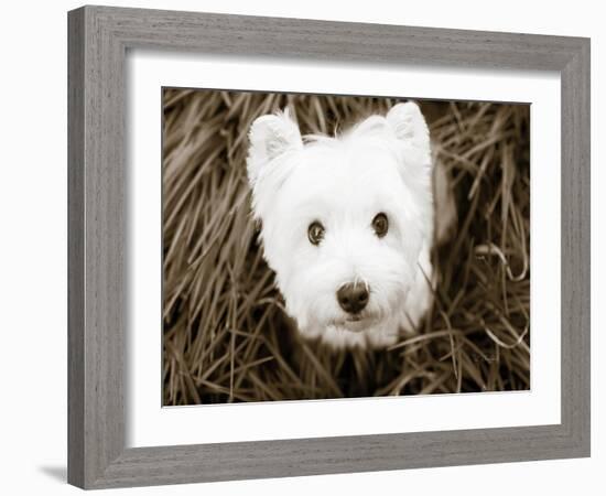 What a Cutie-Jim Dratfield-Framed Photo