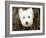 What a Cutie-Jim Dratfield-Framed Photo