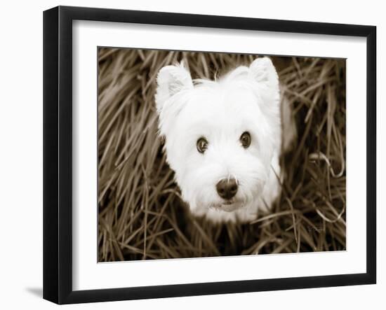 What a Cutie-Jim Dratfield-Framed Photo