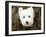 What a Cutie-Jim Dratfield-Framed Photo