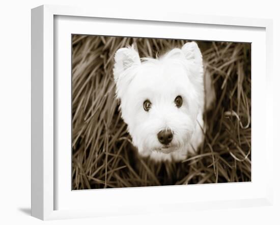 What a Cutie-Jim Dratfield-Framed Photo