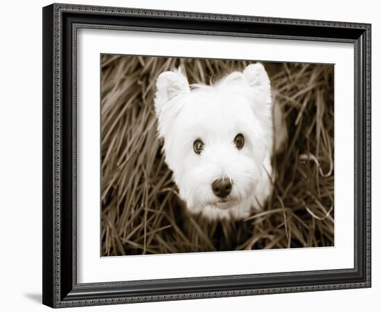 What a Cutie-Jim Dratfield-Framed Photo