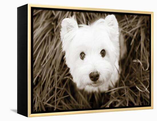 What a Cutie-Jim Dratfield-Framed Stretched Canvas