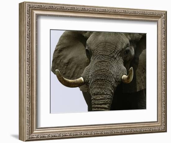 What a Hunk-Art Wolfe-Framed Photographic Print