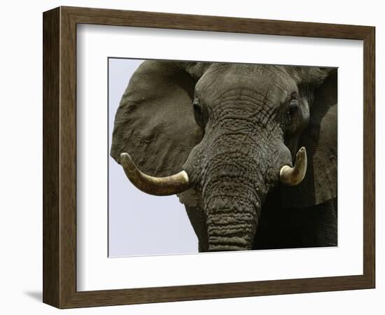 What a Hunk-Art Wolfe-Framed Photographic Print