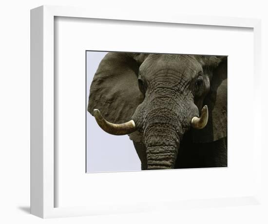 What a Hunk-Art Wolfe-Framed Photographic Print