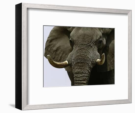 What a Hunk-Art Wolfe-Framed Photographic Print